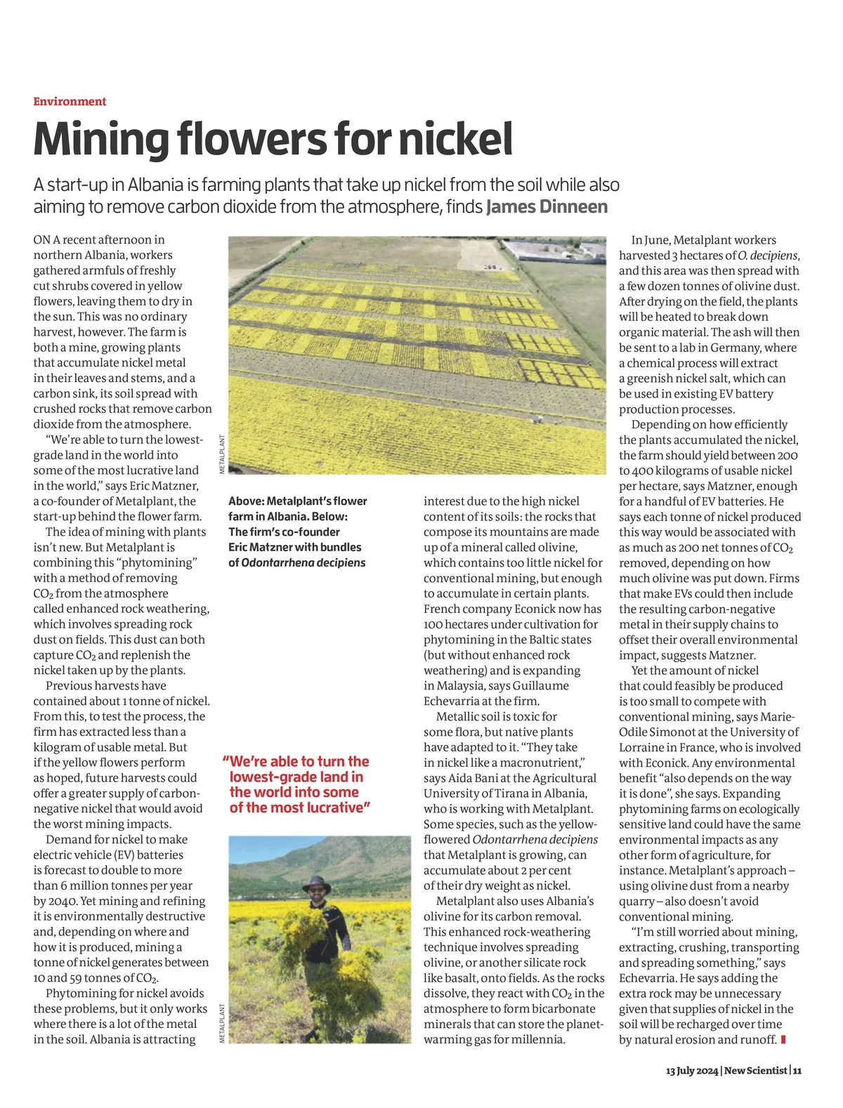 New Scientist magazine page about harvesting nickel from Metalplant flower farms