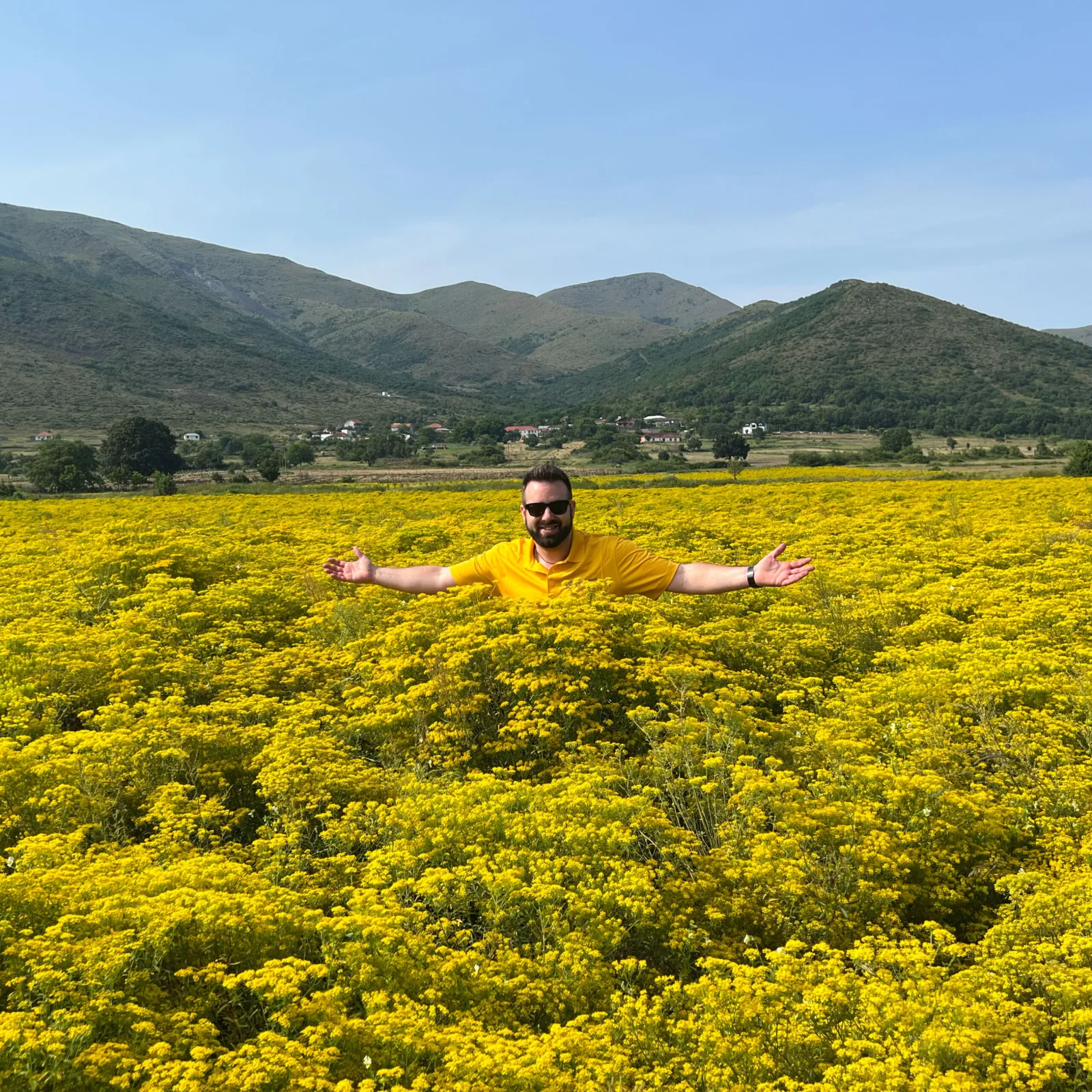 Eric Matzner in a field of nickel hyperaccumulator plants