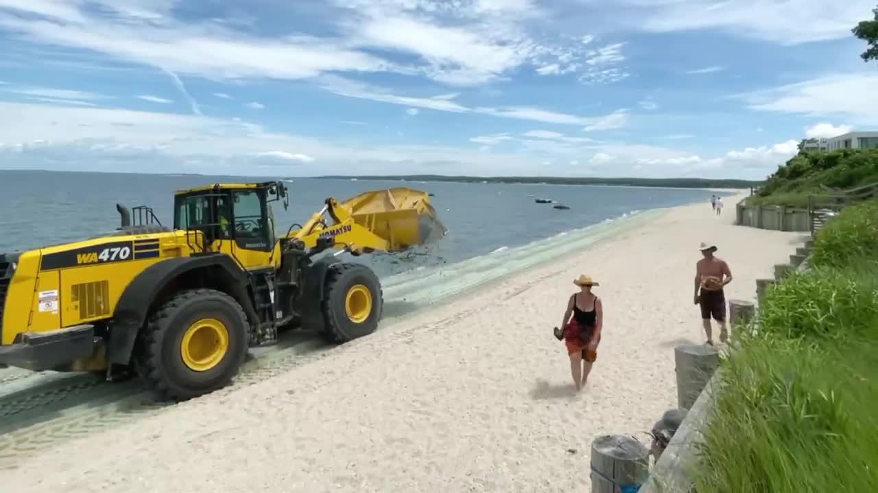 Olivine sand being placed on the beach in Southampton, New York